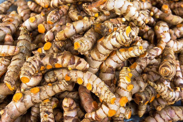 Turmeric Root Extract