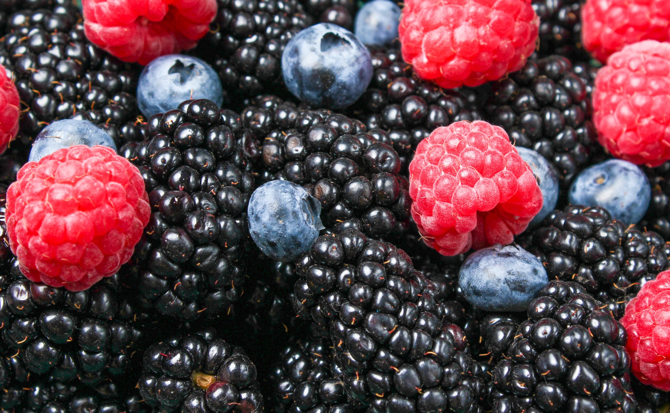 Nordic berry blend