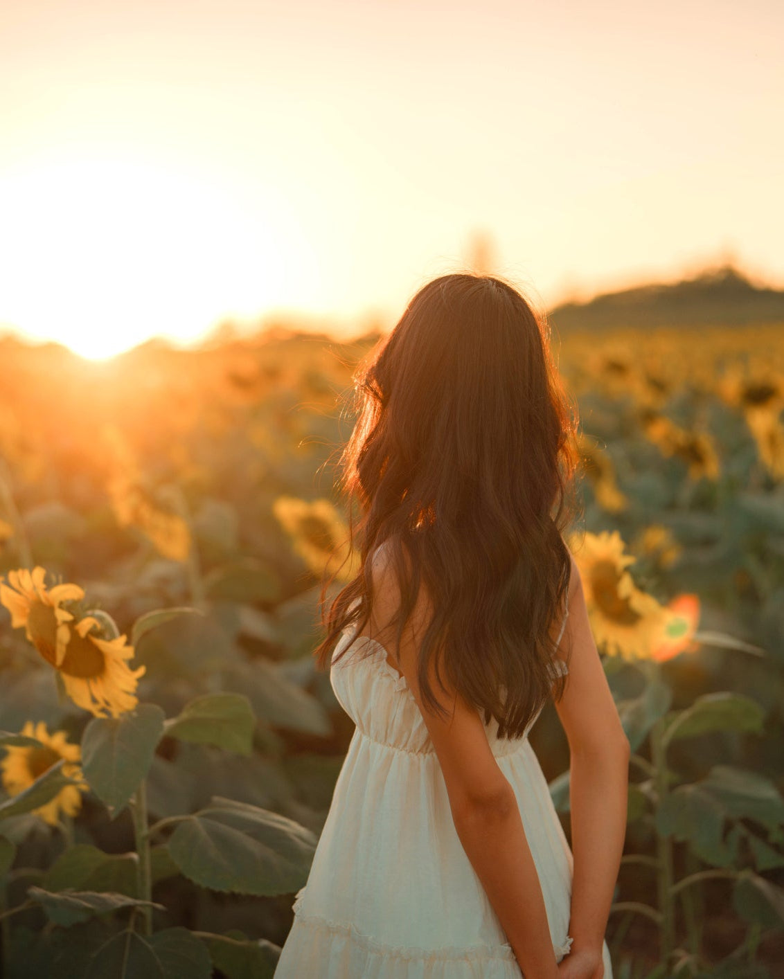 iStock-1912637666.jpg
