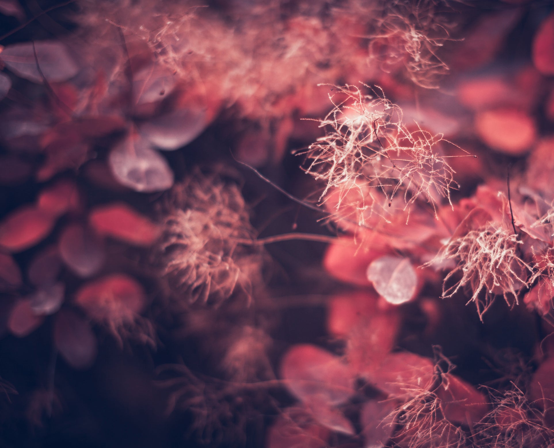 iStock-513810542.jpg