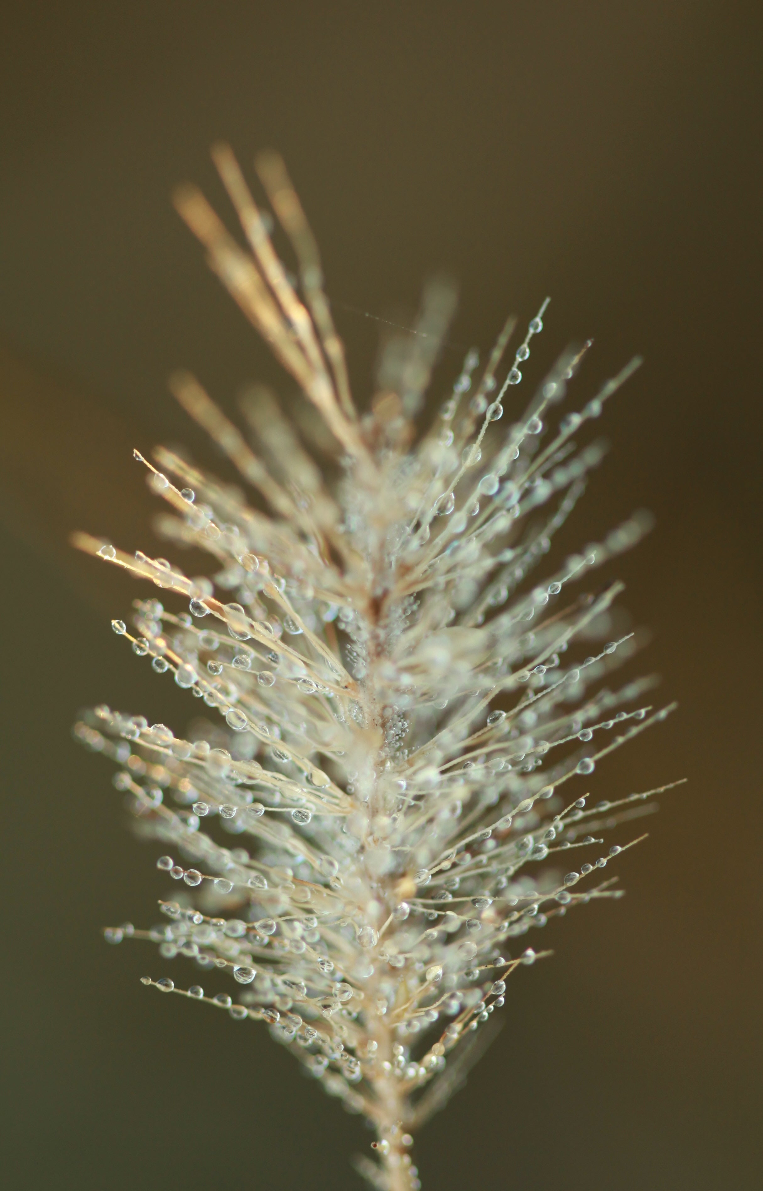 iStock-531639771.jpg