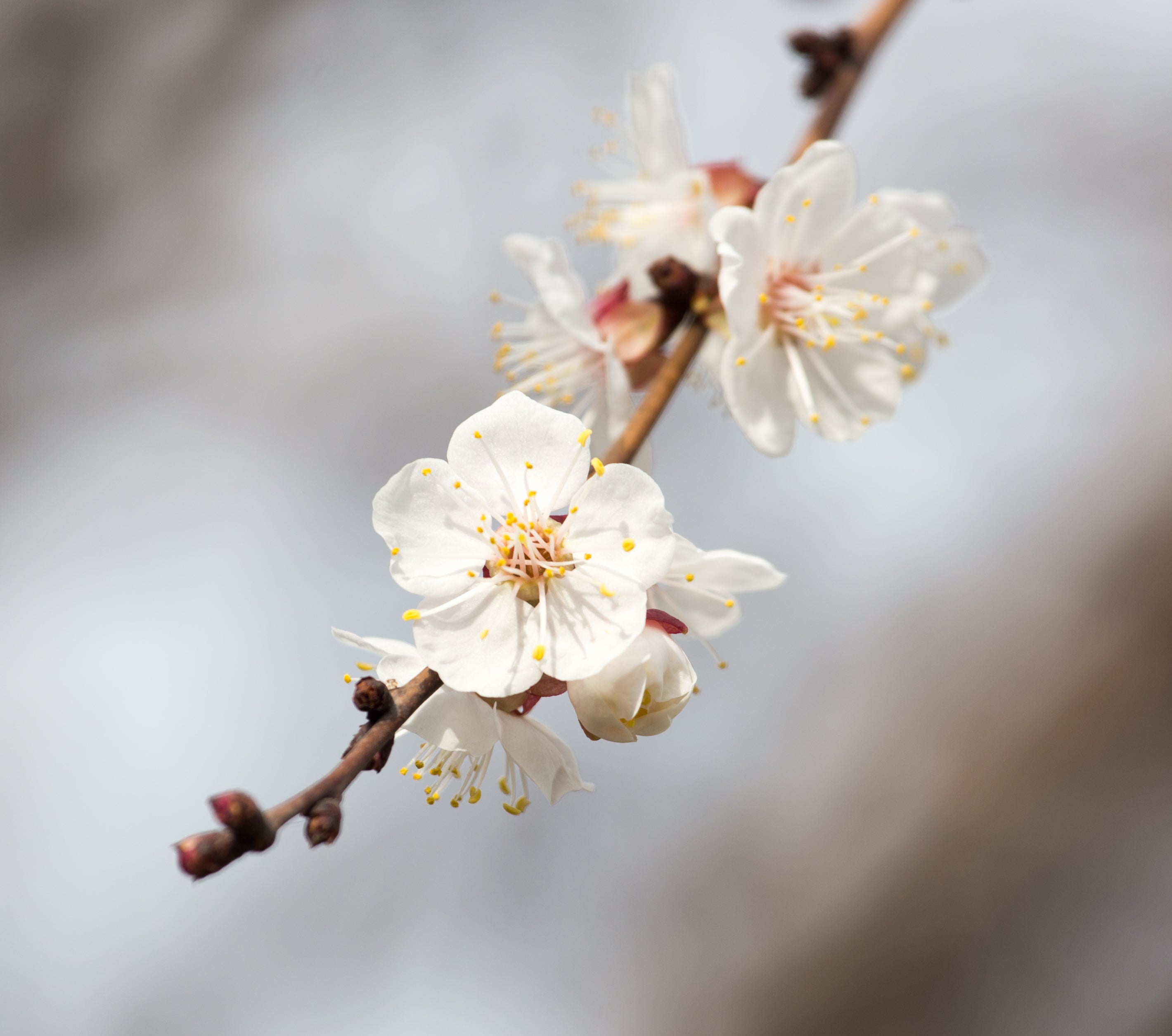 iStock-913519074.jpg