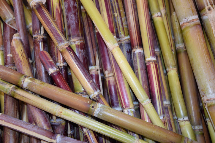 Sugarcane Extract